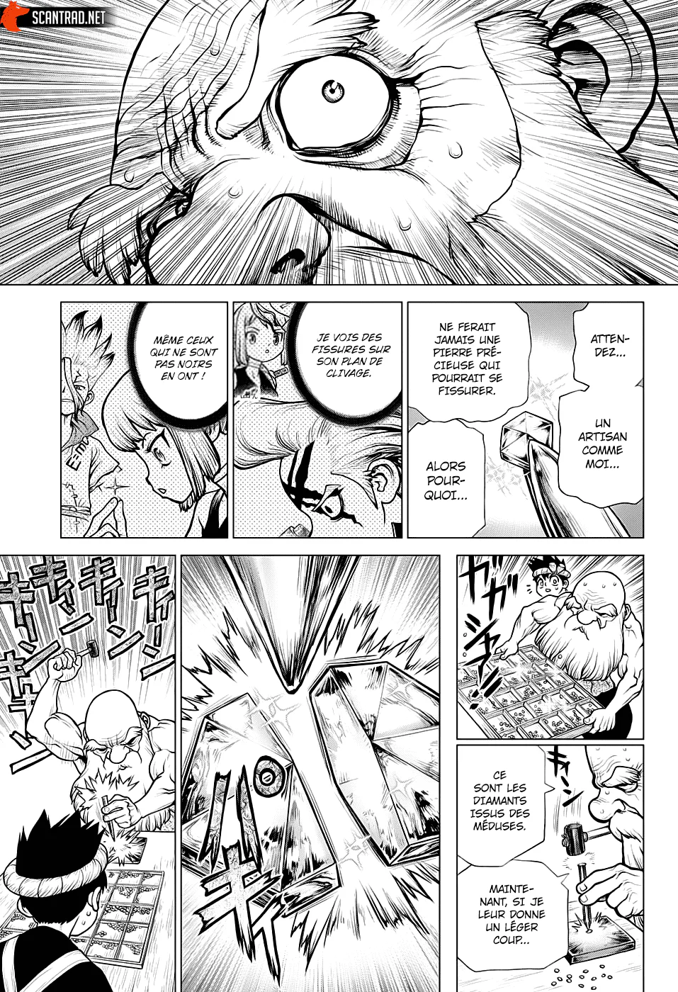 Dr. STONE Chapitre 185 - Page 8