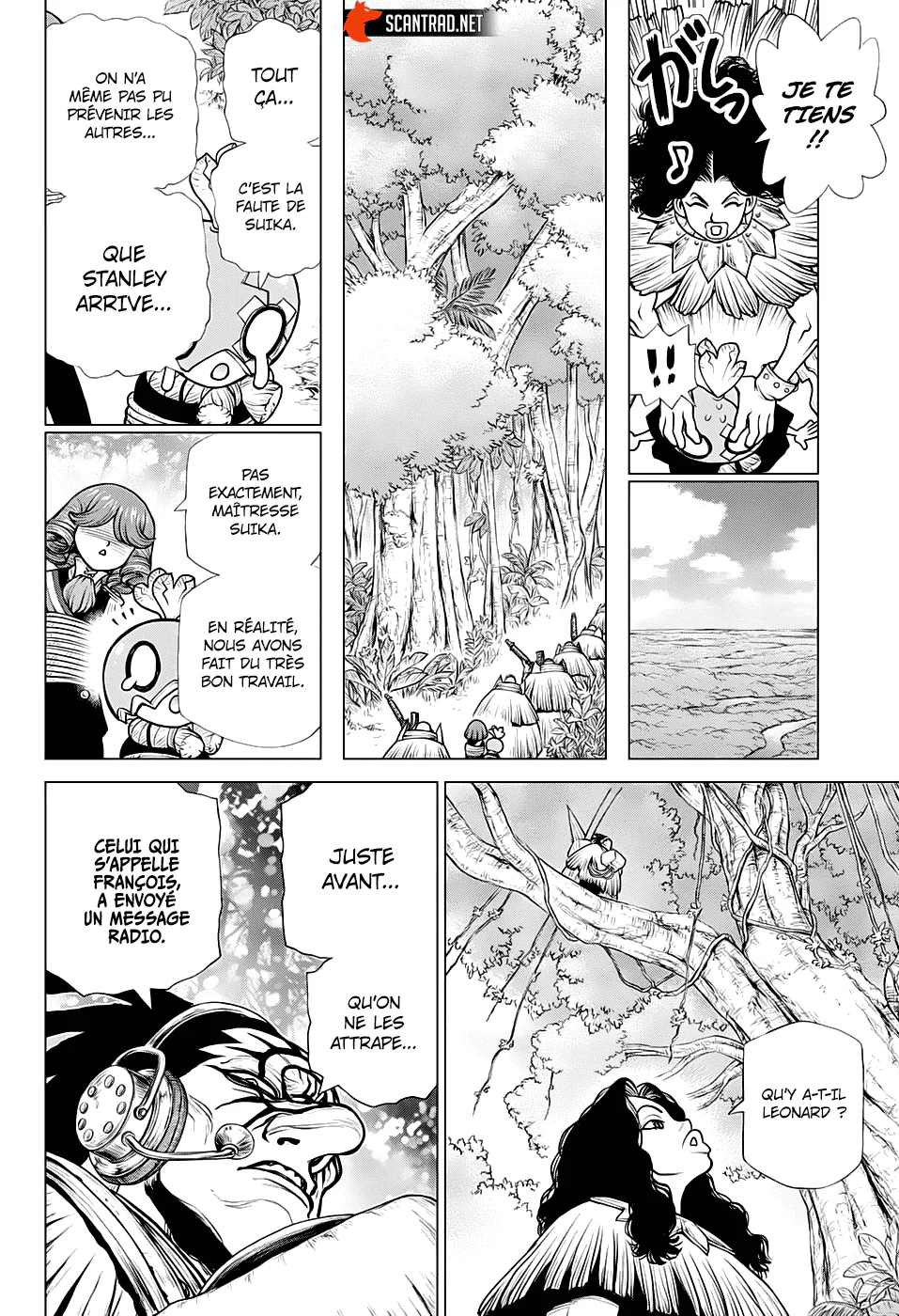 Dr. STONE Chapitre 186 - Page 14