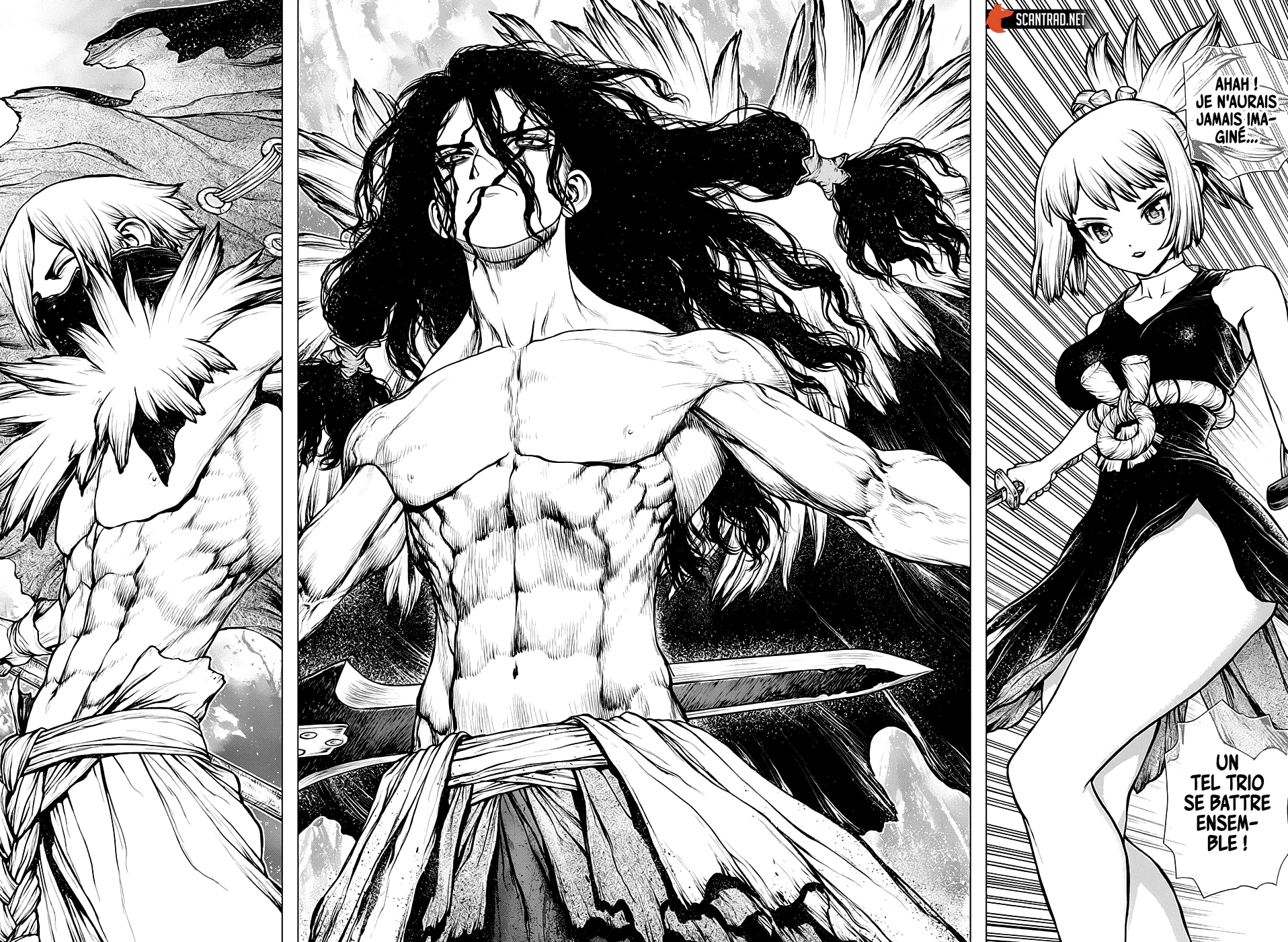 Dr. STONE Chapitre 187 - Page 15