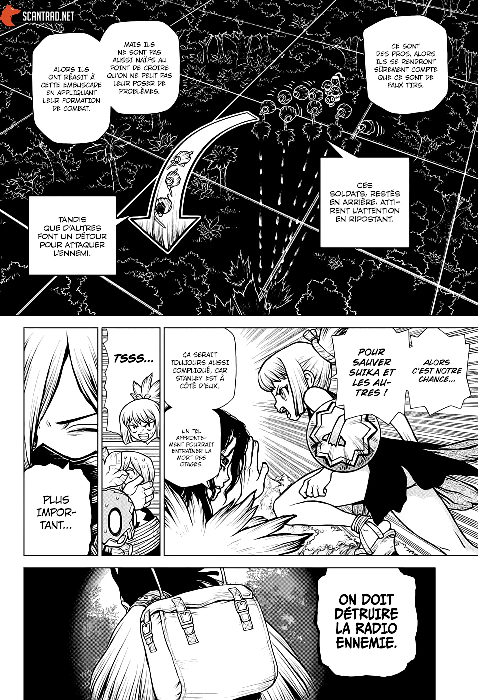 Dr. STONE Chapitre 187 - Page 9