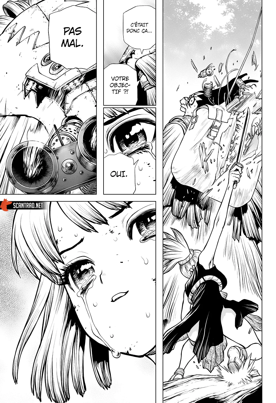 Dr. STONE Chapitre 188 - Page 12