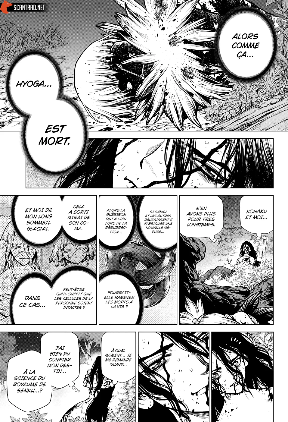 Dr. STONE Chapitre 188 - Page 14