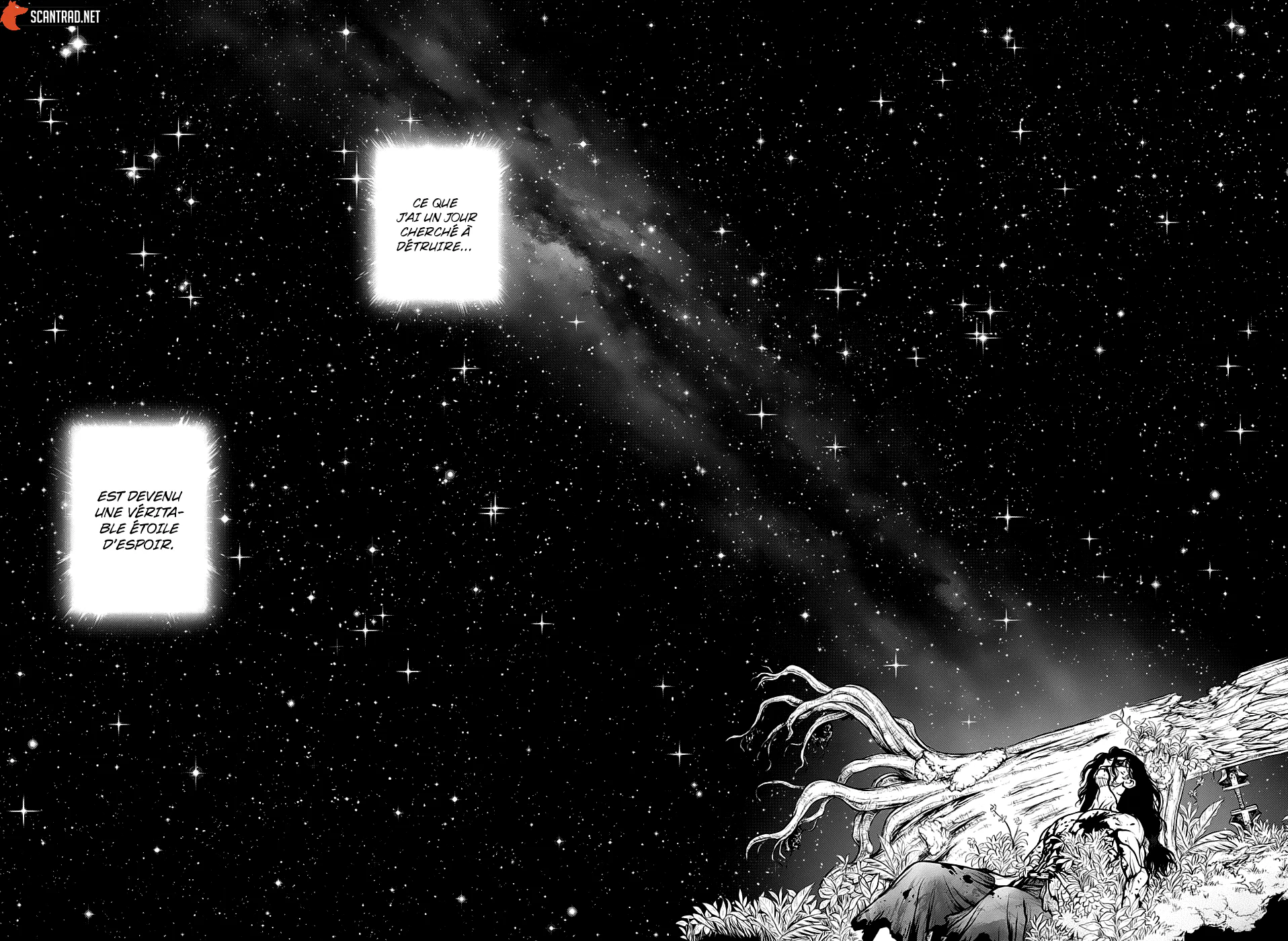 Dr. STONE Chapitre 188 - Page 15