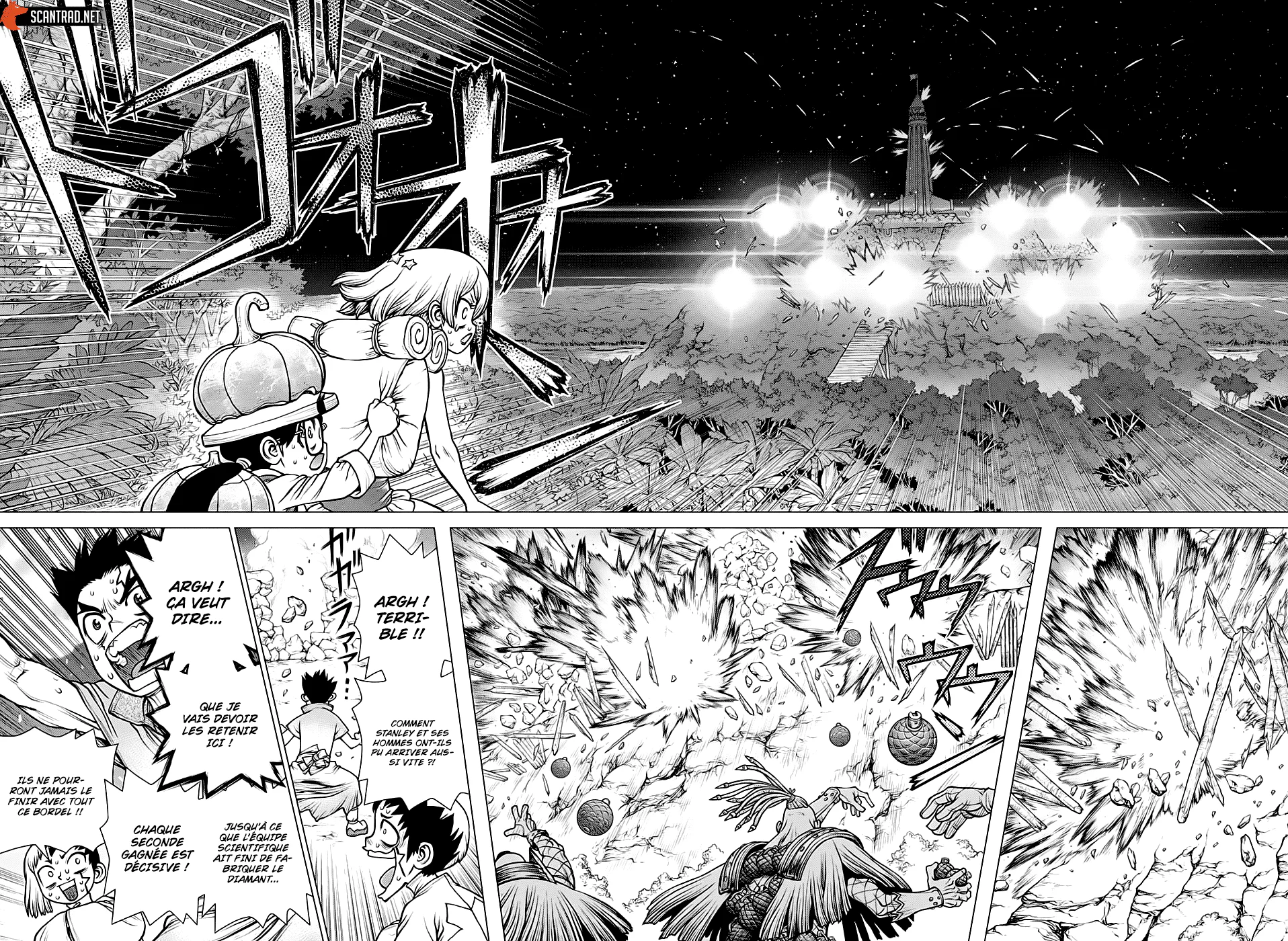 Dr. STONE Chapitre 189 - Page 12