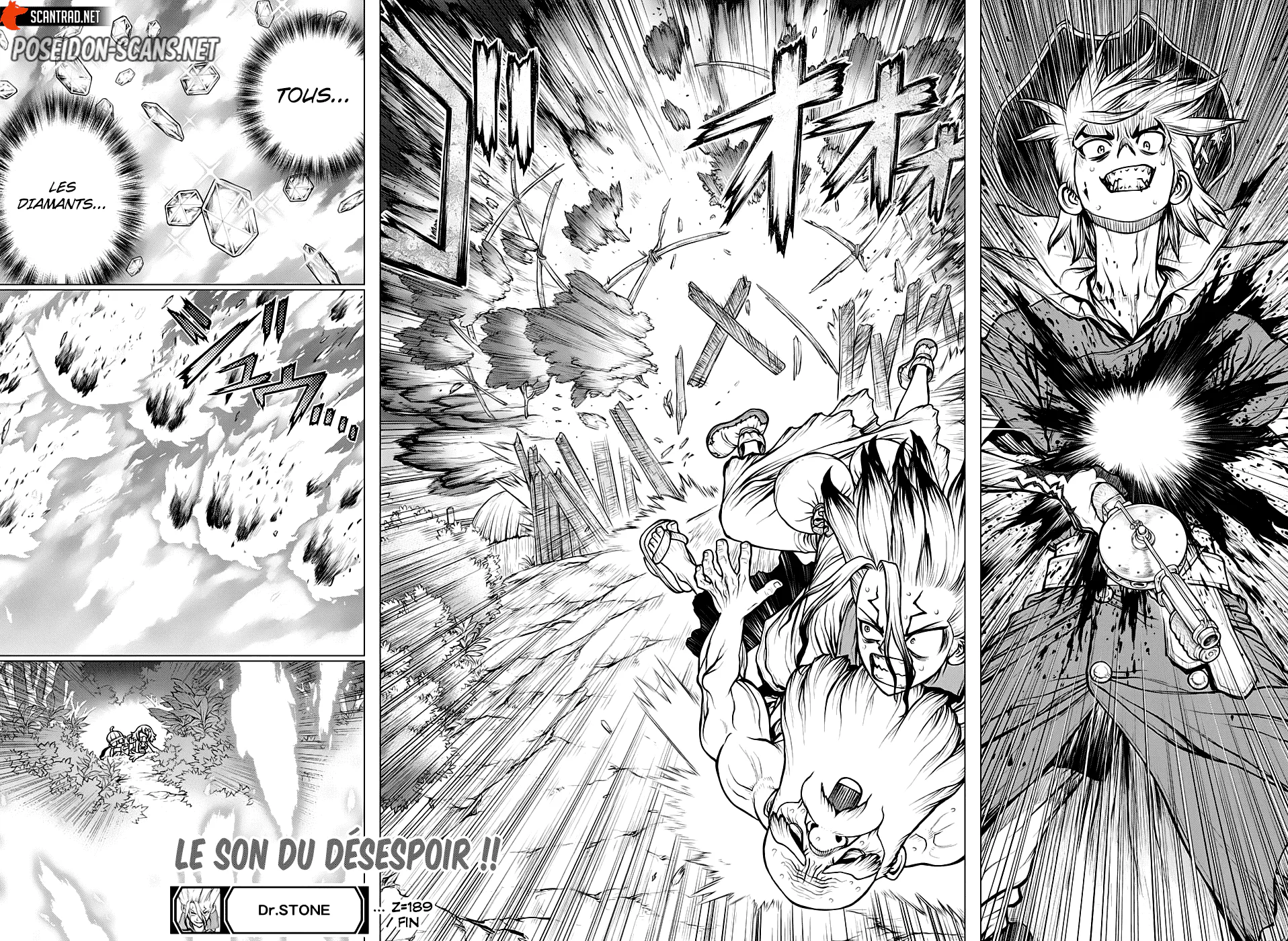 Dr. STONE Chapitre 189 - Page 19