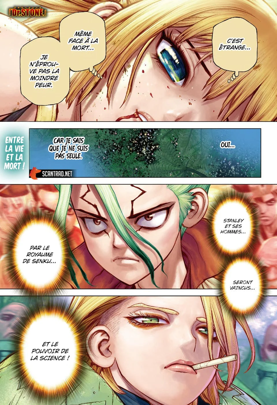 Dr. STONE Chapitre 189 - Page 2