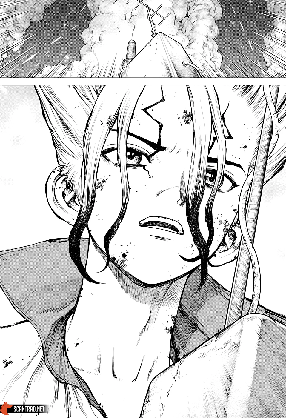 Dr. STONE Chapitre 190 - Page 15