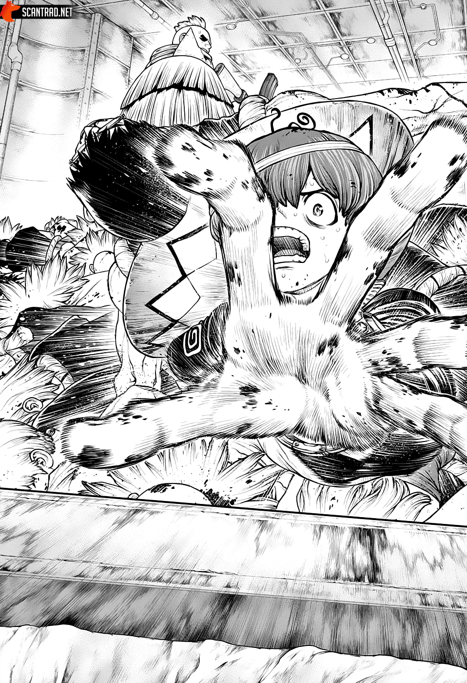 Dr. STONE Chapitre 191 - Page 11