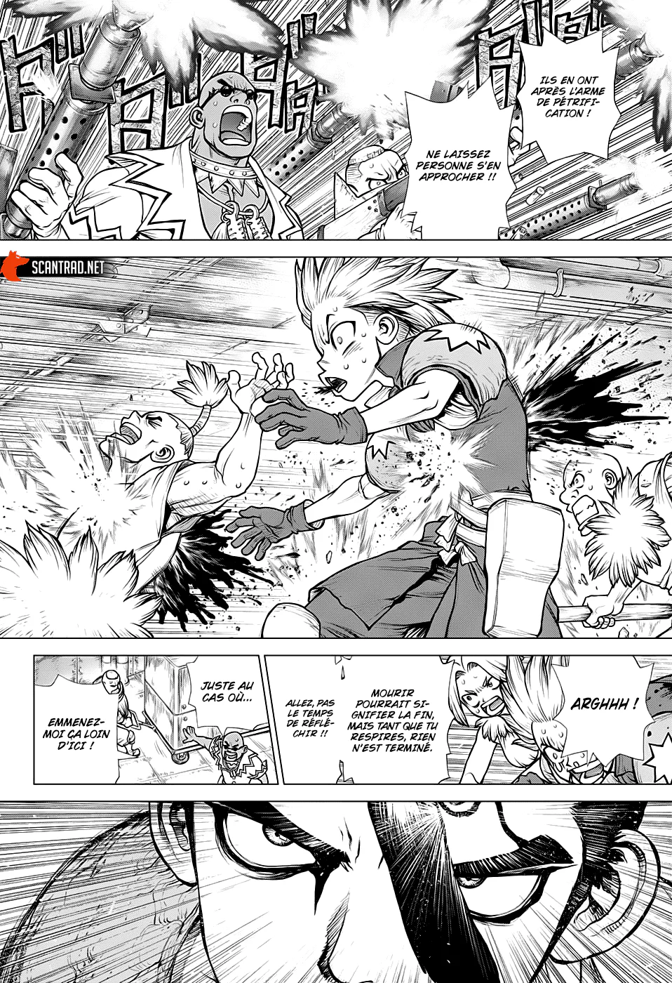 Dr. STONE Chapitre 191 - Page 5
