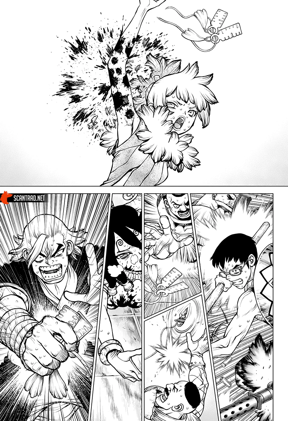 Dr. STONE Chapitre 191 - Page 8