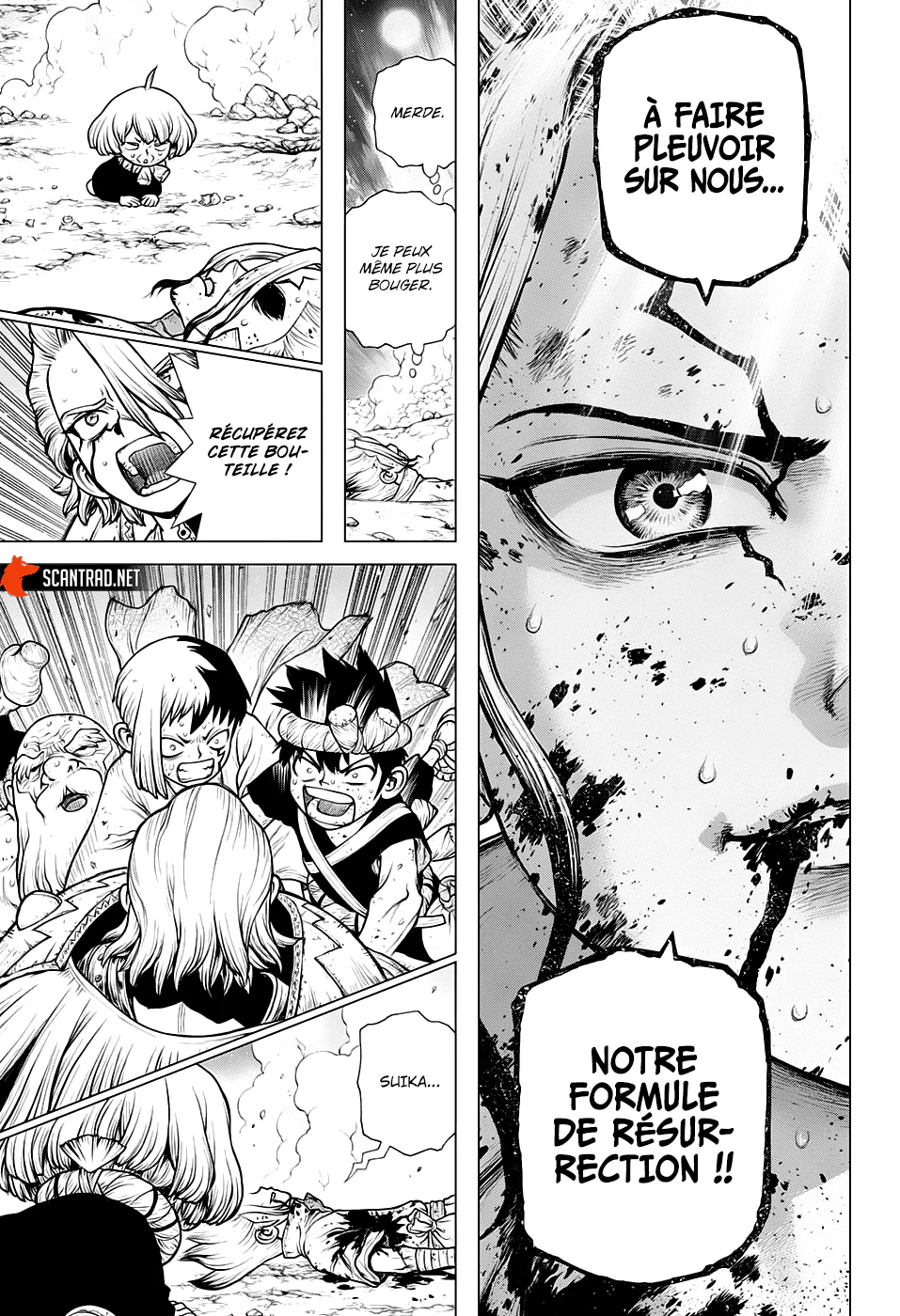 Dr. STONE Chapitre 192 - Page 14