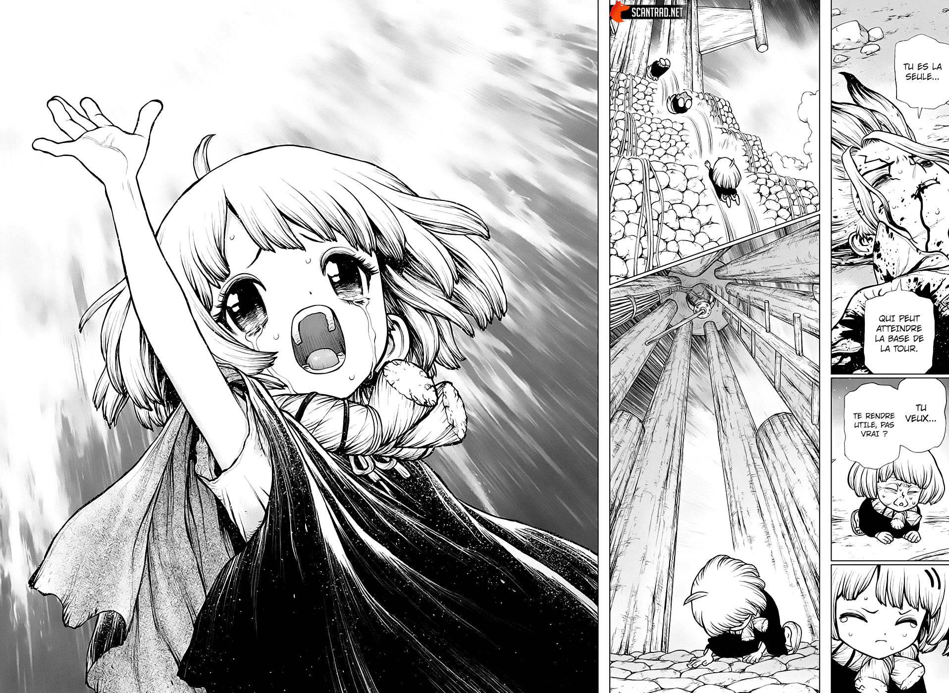 Dr. STONE Chapitre 192 - Page 15