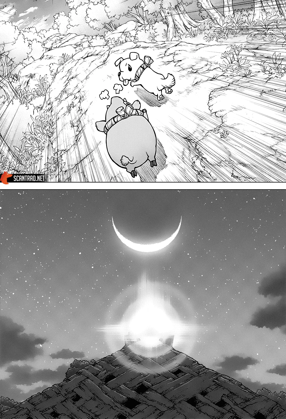 Dr. STONE Chapitre 193 - Page 14