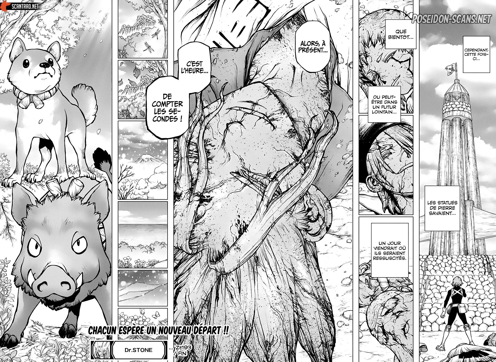 Dr. STONE Chapitre 193 - Page 16