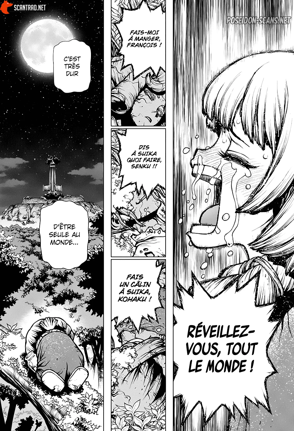 Dr. STONE Chapitre 194 - Page 13