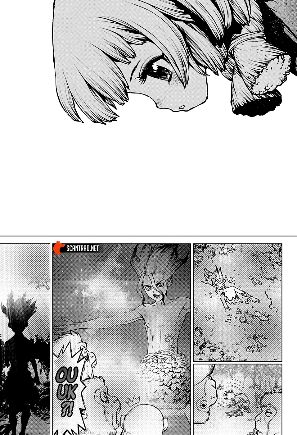 Dr. STONE Chapitre 194 - Page 14