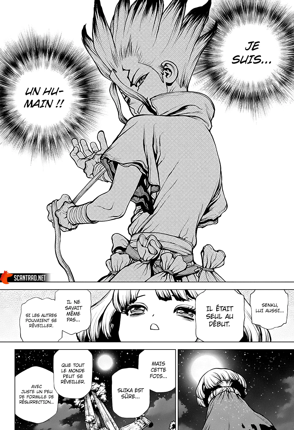 Dr. STONE Chapitre 194 - Page 15