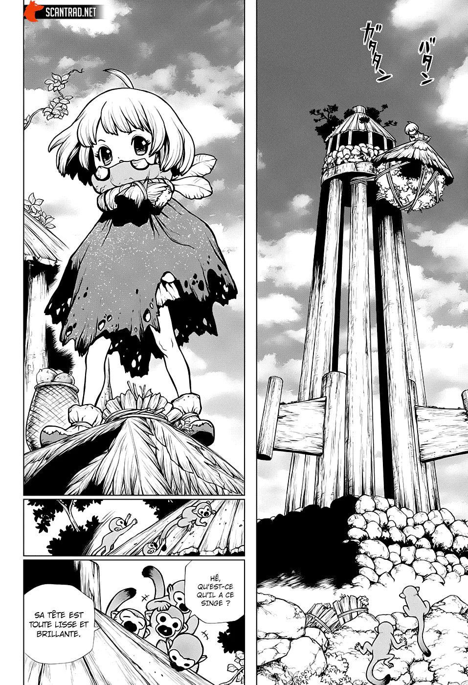 Dr. STONE Chapitre 194 - Page 17