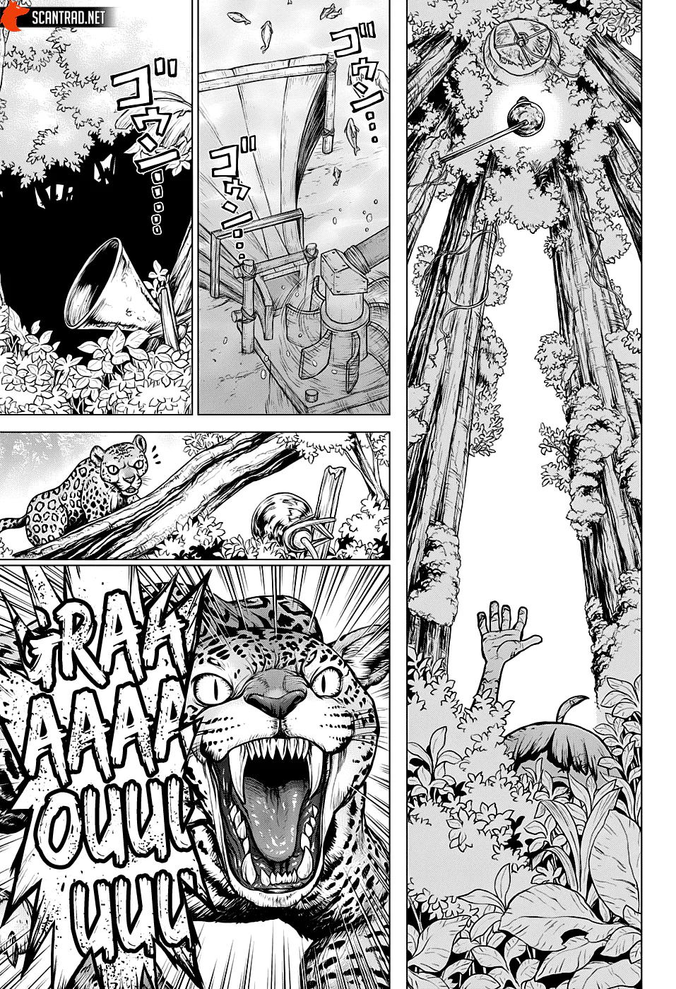 Dr. STONE Chapitre 194 - Page 3