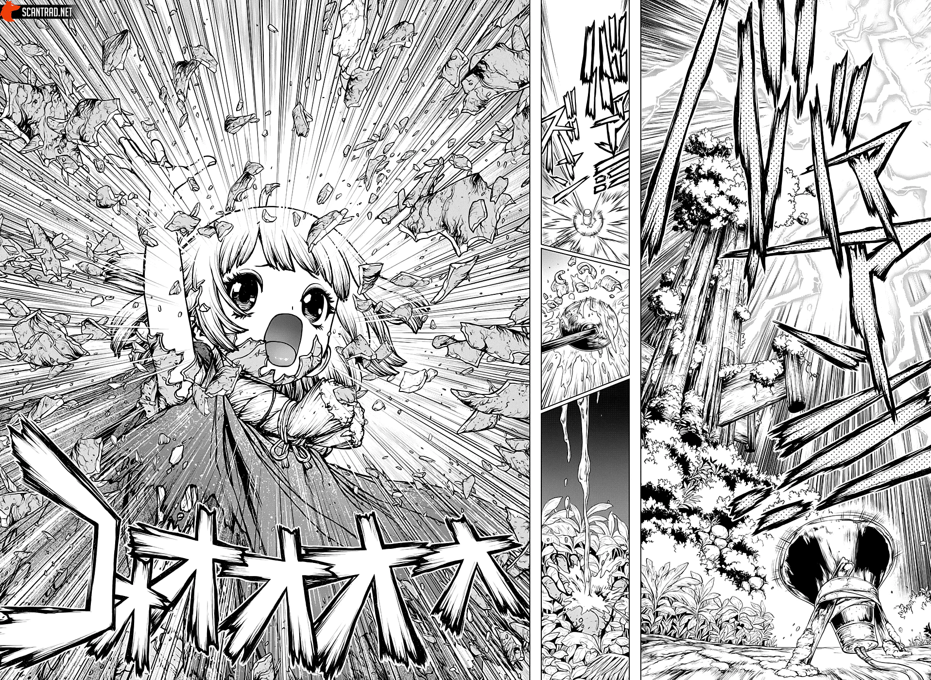 Dr. STONE Chapitre 194 - Page 6