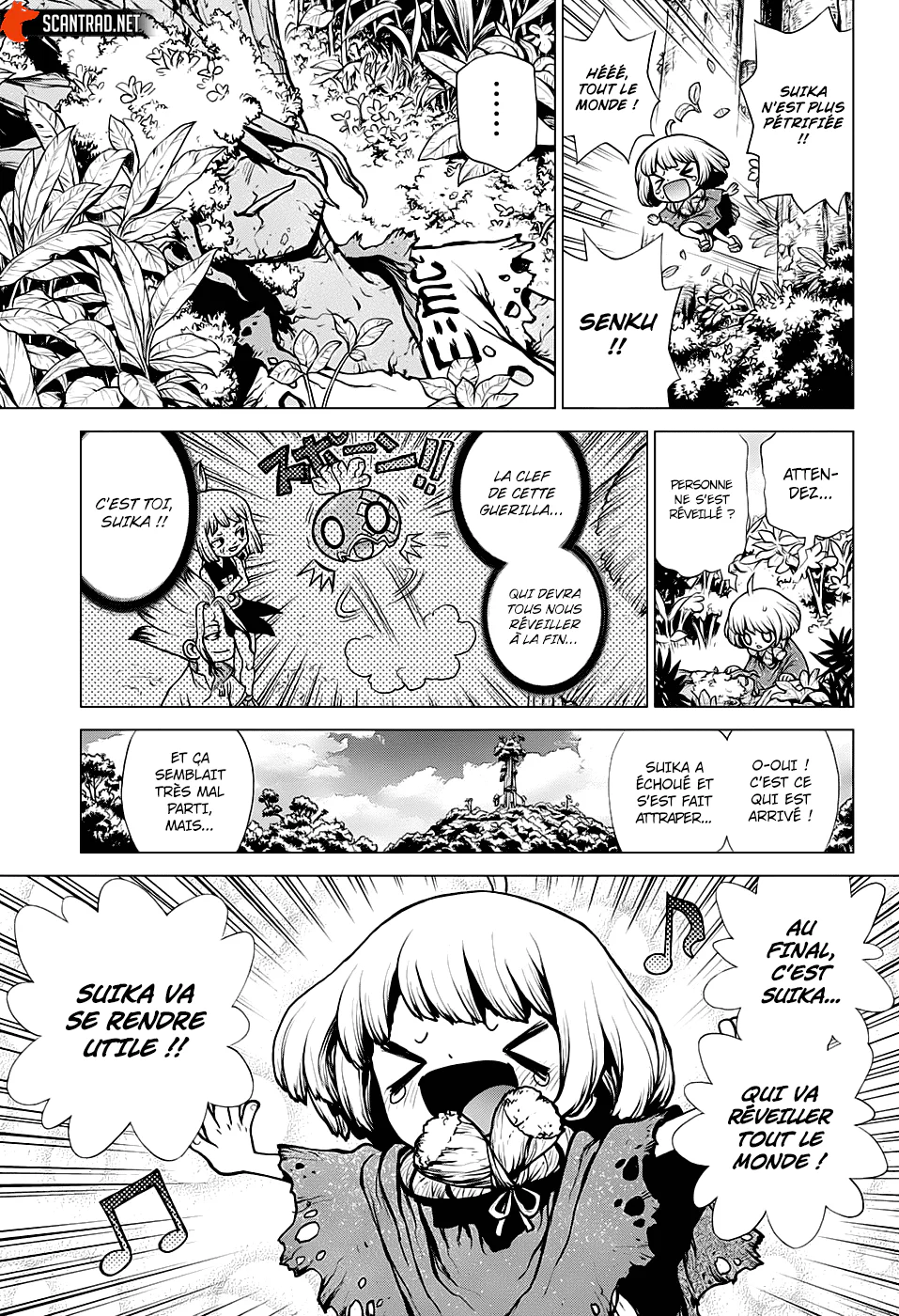 Dr. STONE Chapitre 194 - Page 8