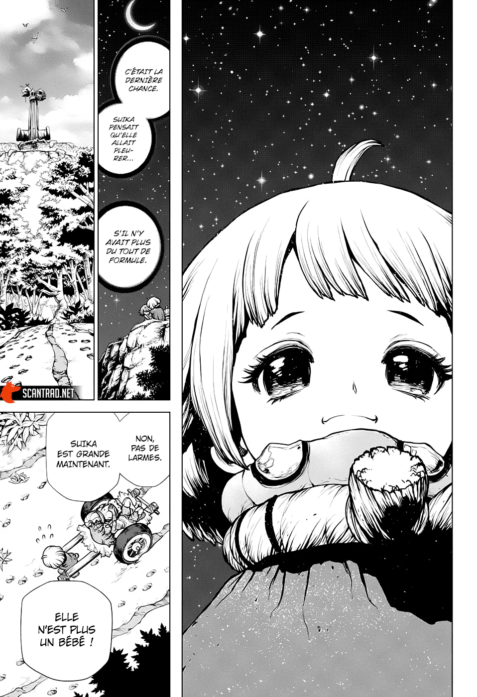 Dr. STONE Chapitre 195 - Page 12