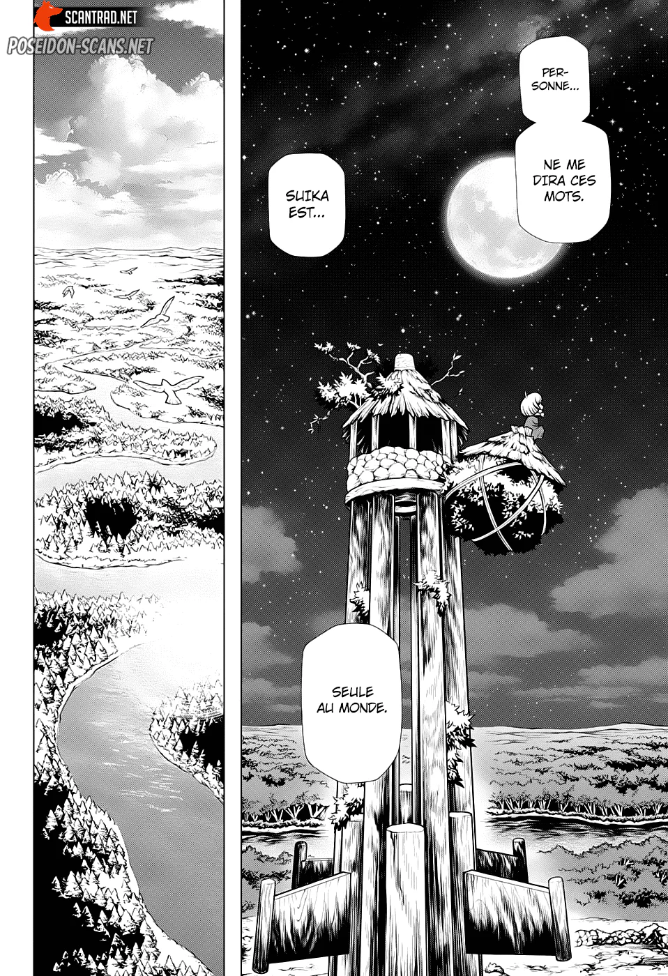 Dr. STONE Chapitre 195 - Page 7