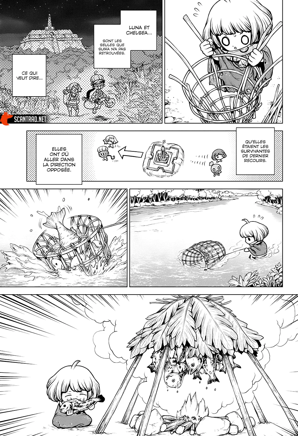 Dr. STONE Chapitre 195 - Page 8