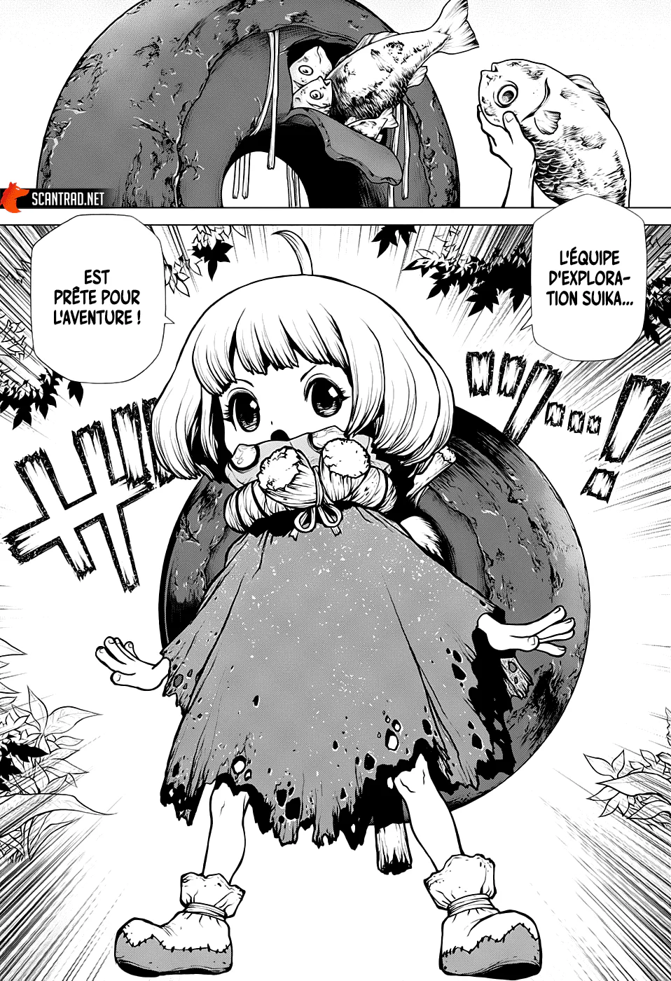 Dr. STONE Chapitre 195 - Page 9