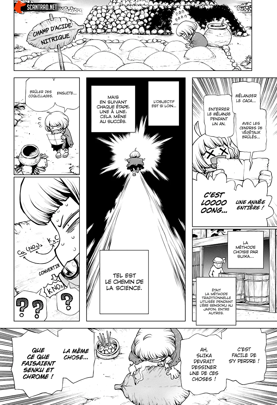 Dr. STONE Chapitre 196 - Page 11