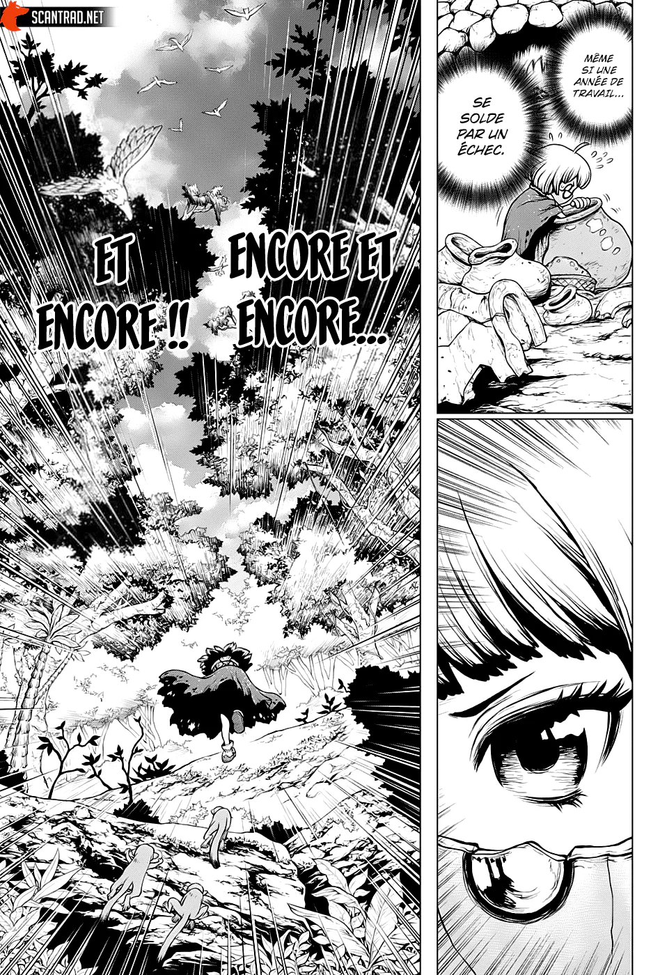 Dr. STONE Chapitre 196 - Page 14