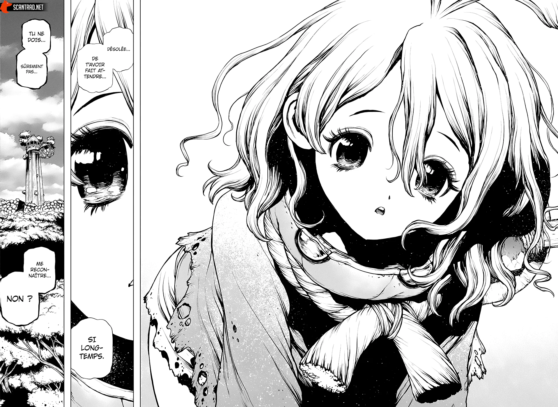 Dr. STONE Chapitre 196 - Page 17