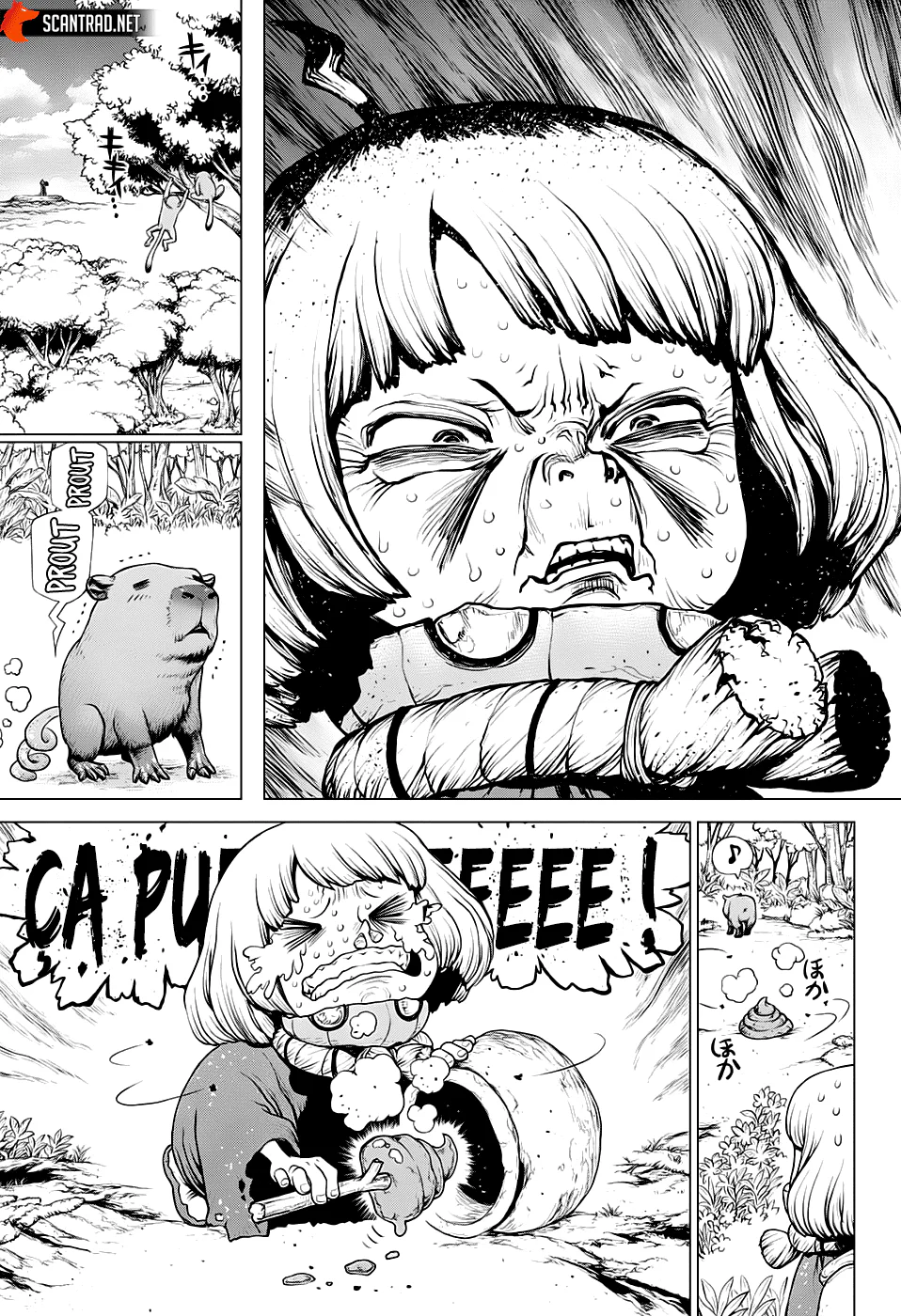 Dr. STONE Chapitre 196 - Page 8