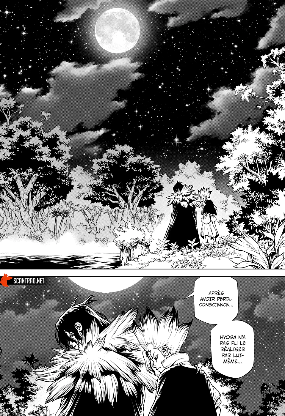 Dr. STONE Chapitre 197 - Page 14