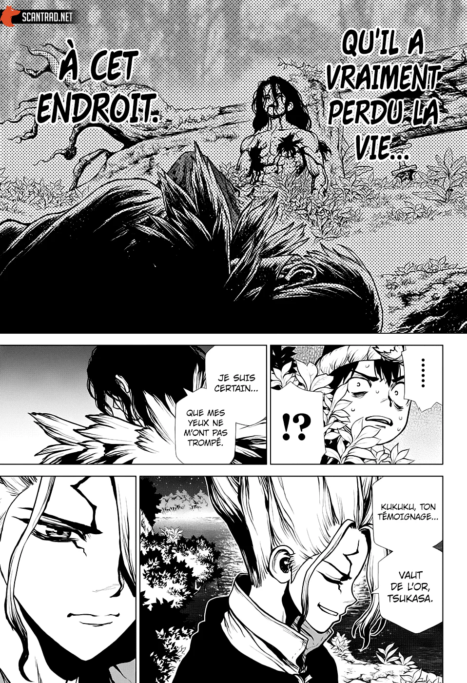 Dr. STONE Chapitre 197 - Page 15