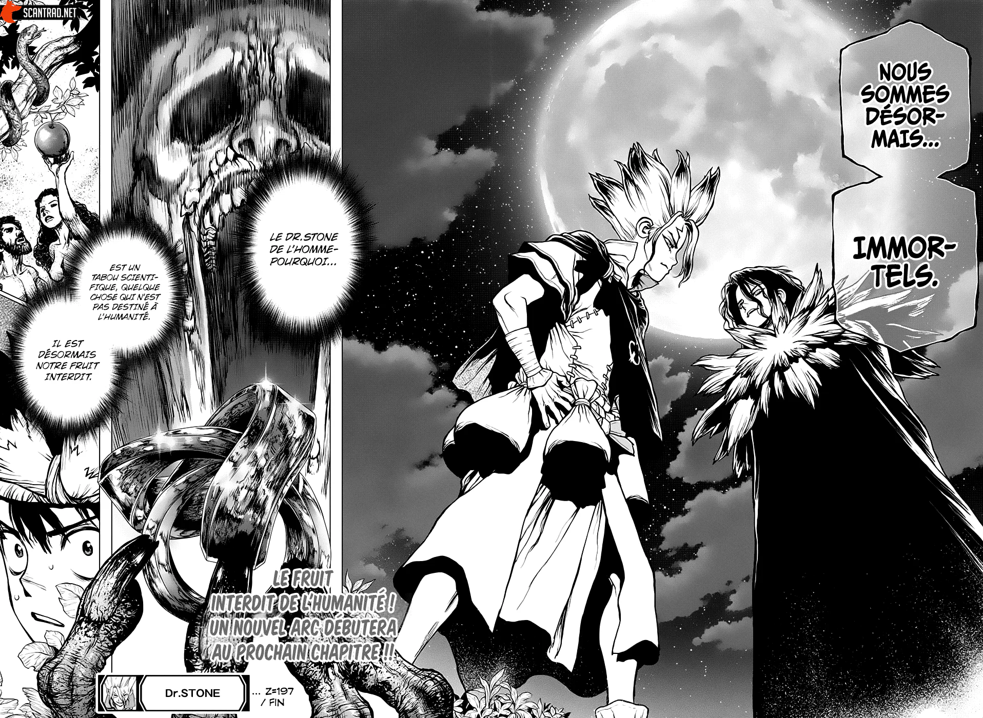 Dr. STONE Chapitre 197 - Page 17