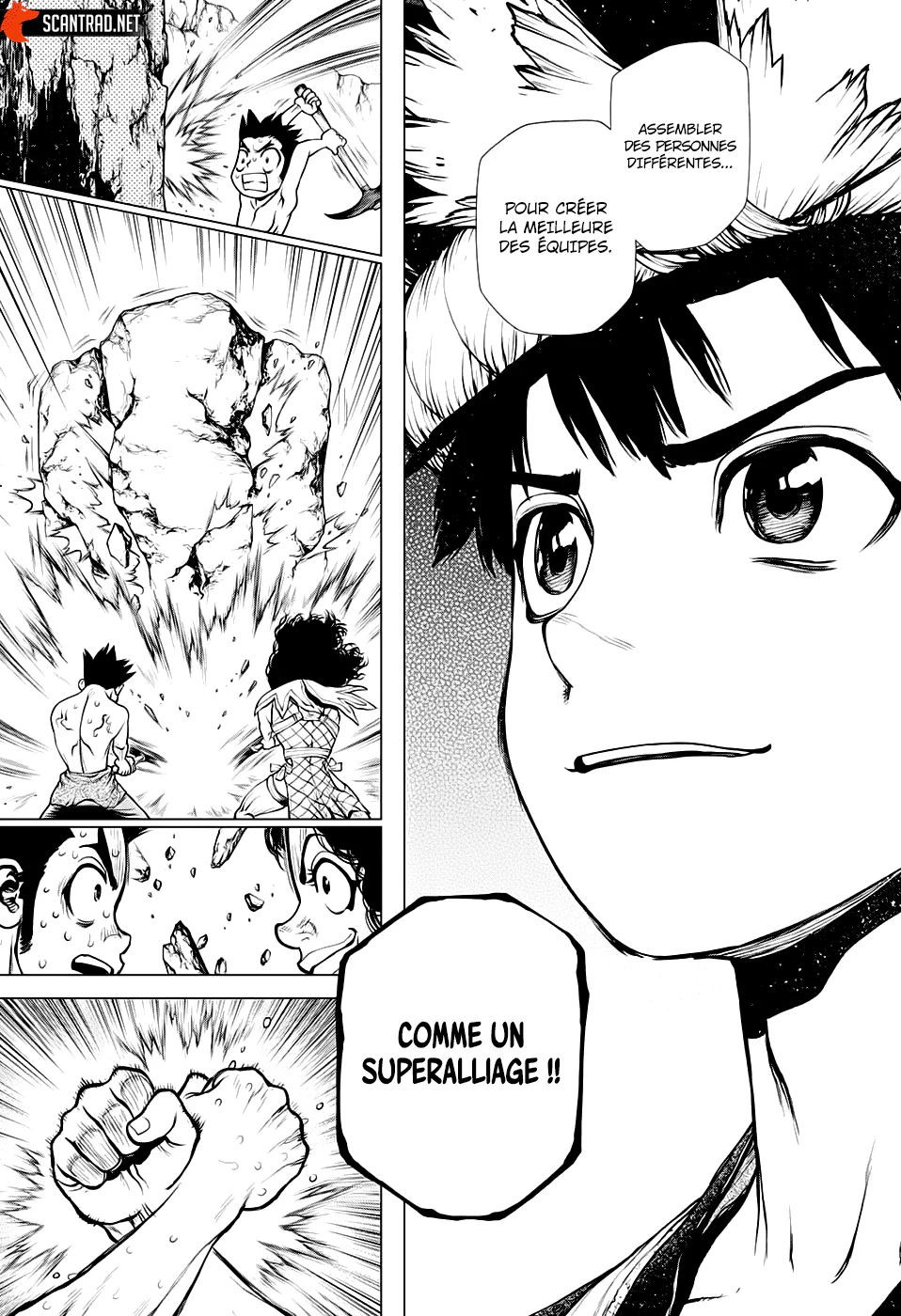 Dr. STONE Chapitre 199 - Page 17