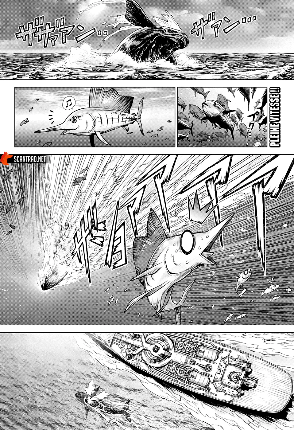 Dr. STONE Chapitre 201 - Page 2