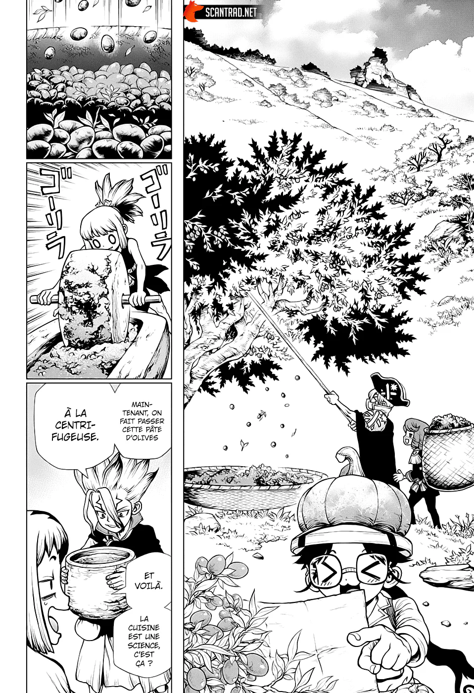 Dr. STONE Chapitre 202 - Page 5