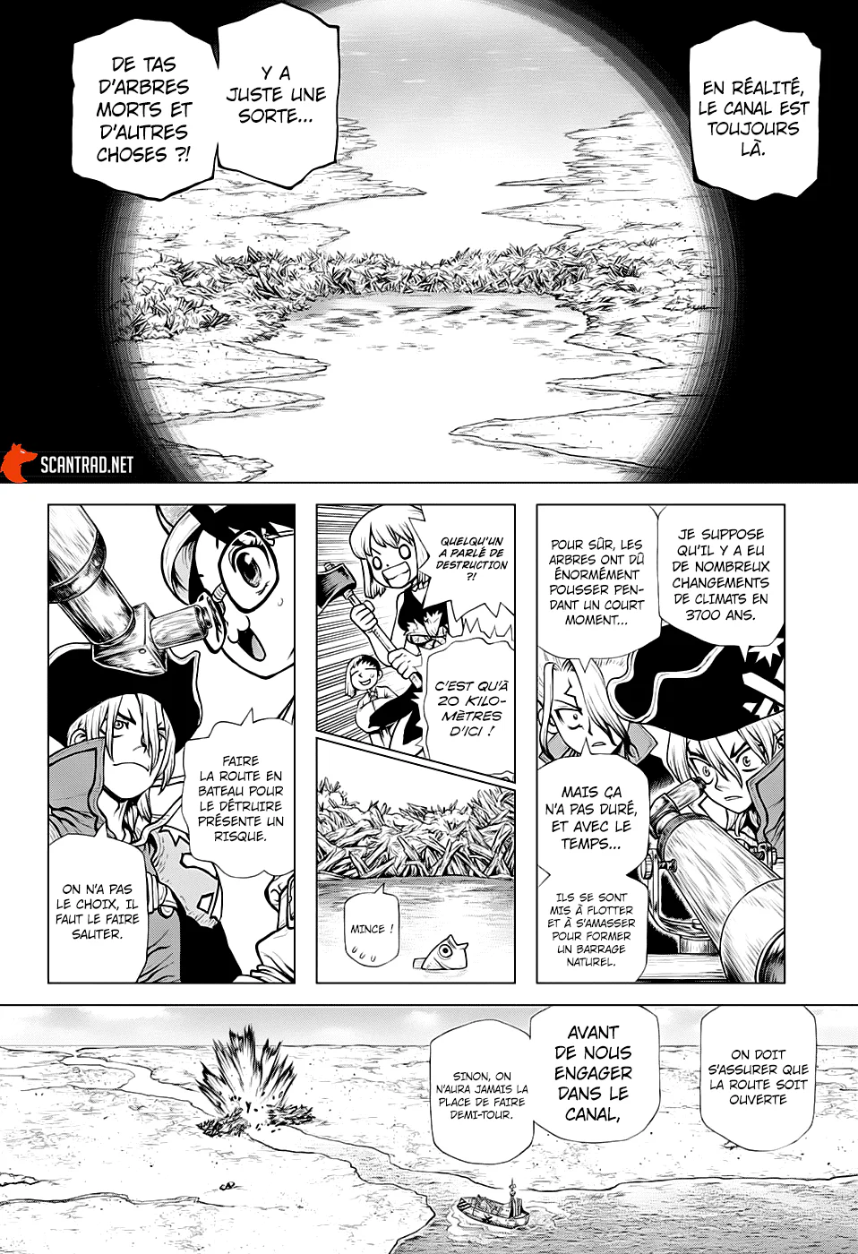 Dr. STONE Chapitre 203 - Page 12