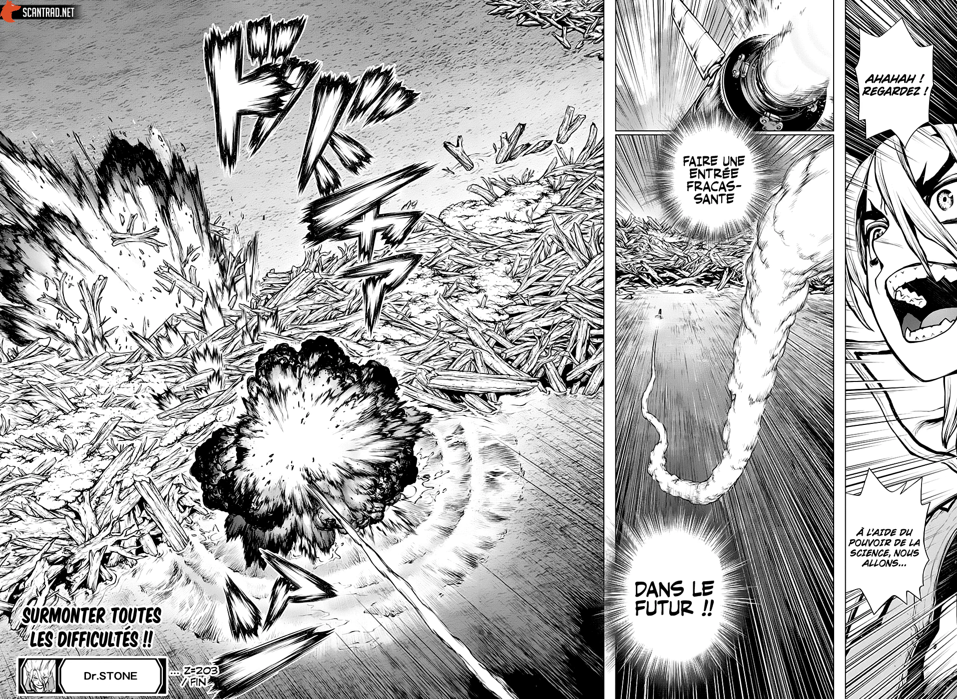 Dr. STONE Chapitre 203 - Page 18
