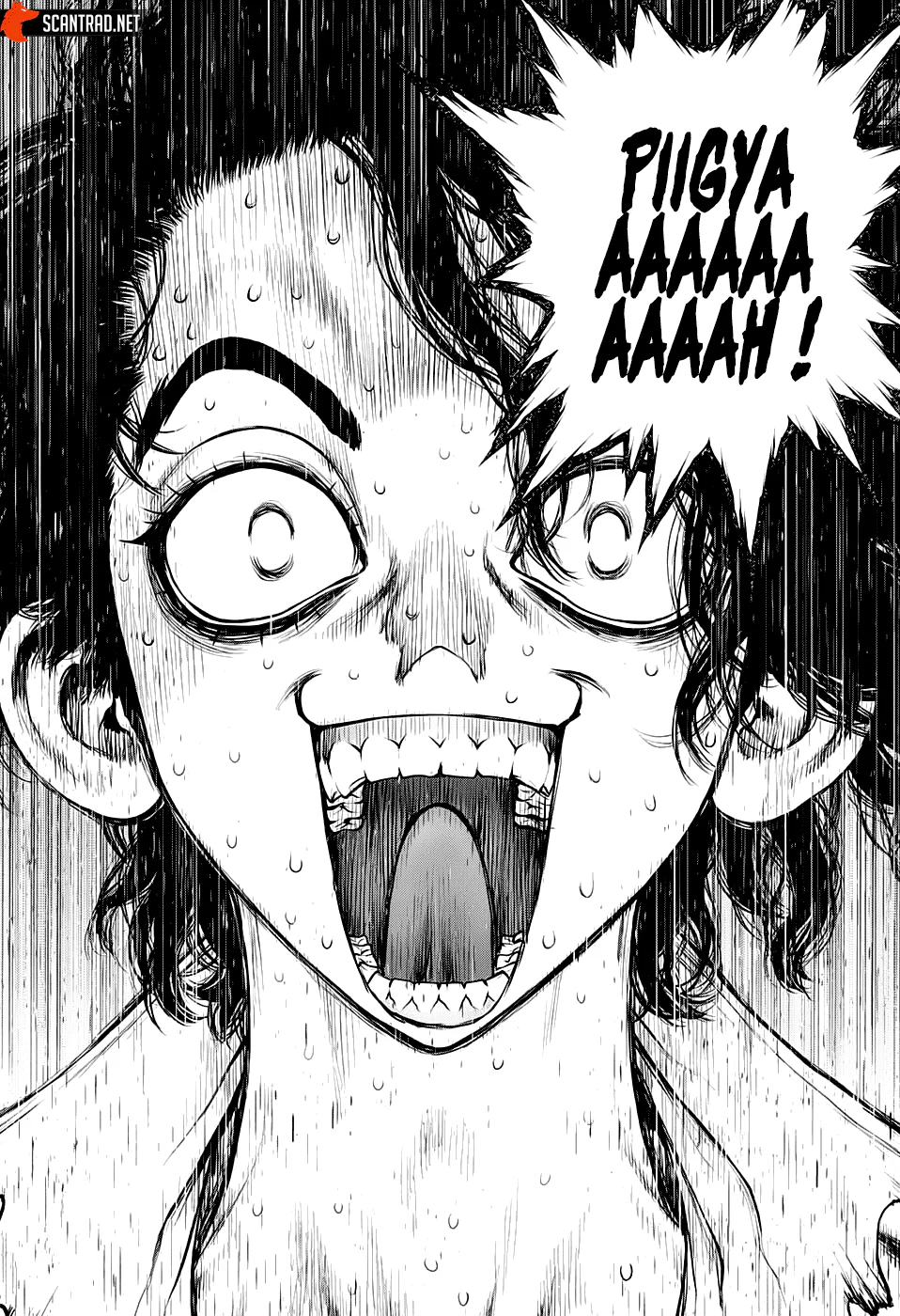Dr. STONE Chapitre 204 - Page 14