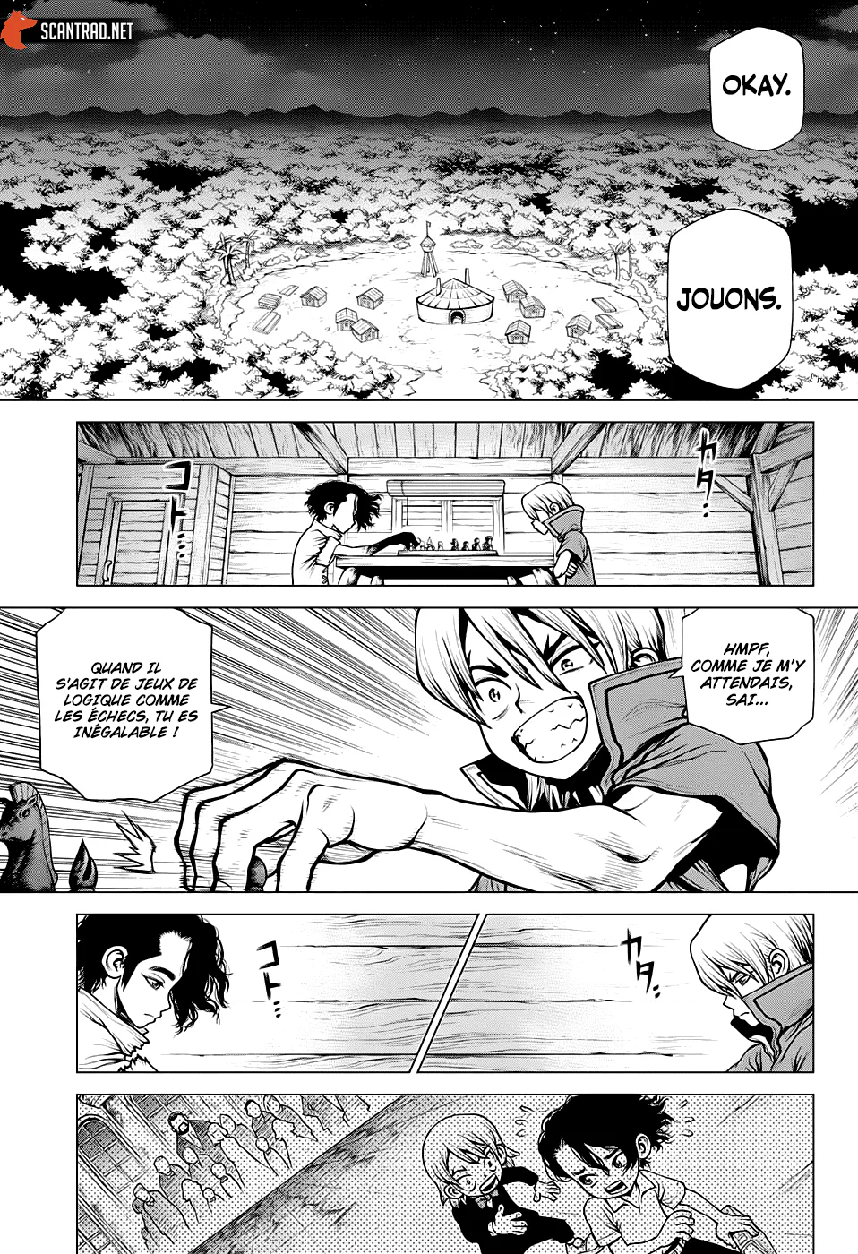 Dr. STONE Chapitre 207 - Page 17
