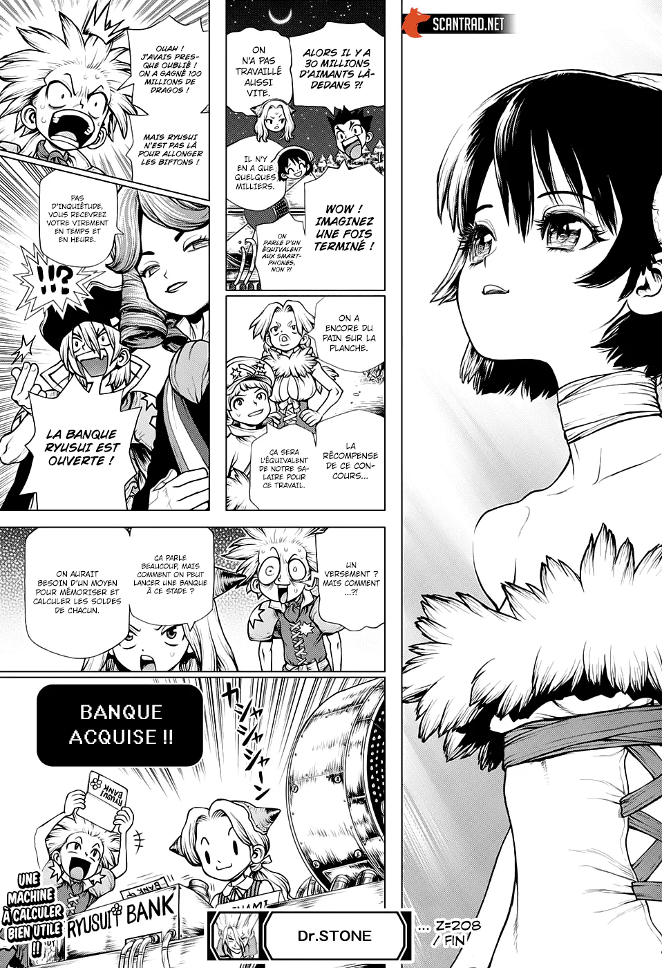 Dr. STONE Chapitre 208 - Page 17