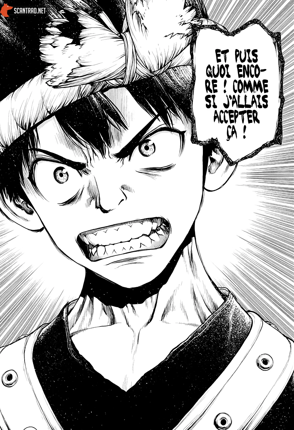 Dr. STONE Chapitre 210 - Page 11