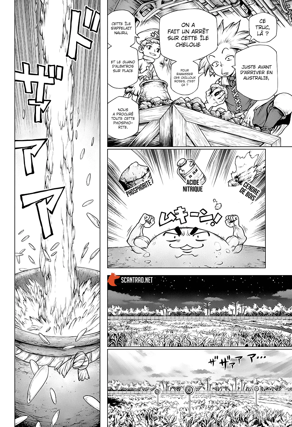 Dr. STONE Chapitre 211 - Page 11