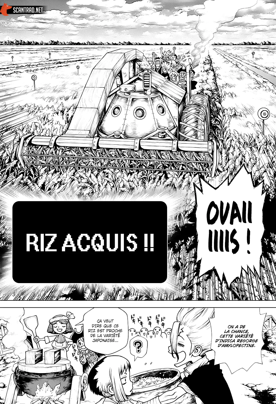 Dr. STONE Chapitre 211 - Page 12