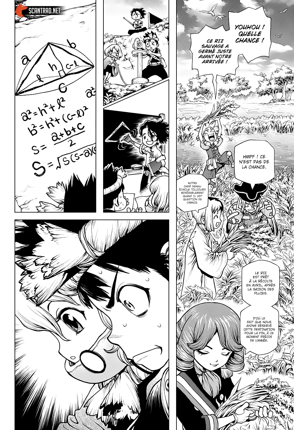 Dr. STONE Chapitre 211 - Page 8