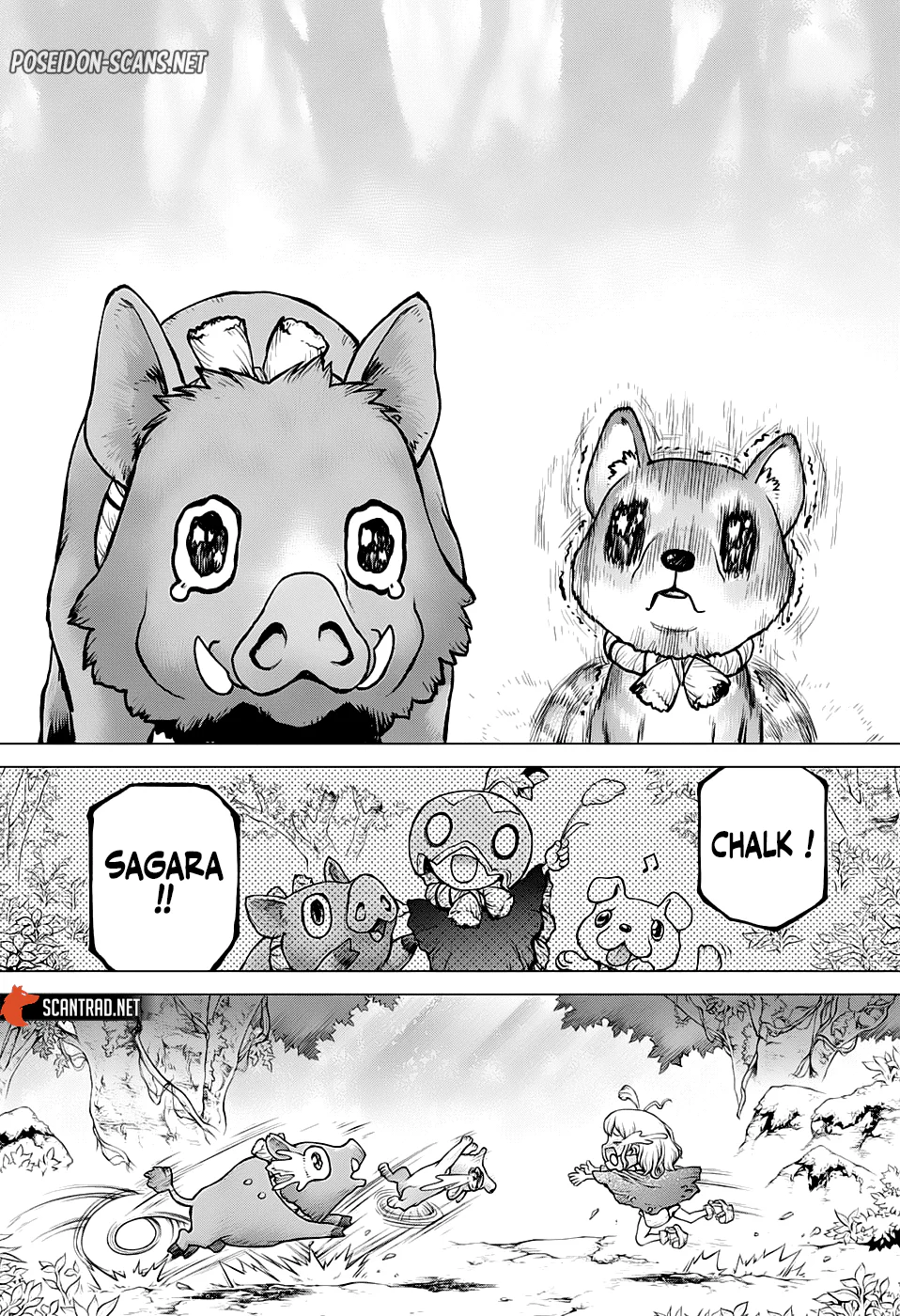 Dr. STONE Chapitre 212 - Page 10