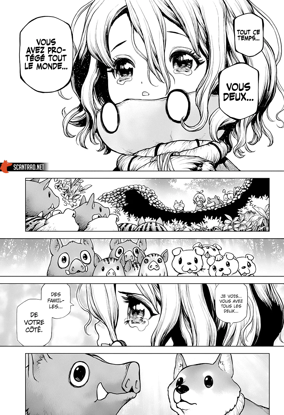Dr. STONE Chapitre 212 - Page 12